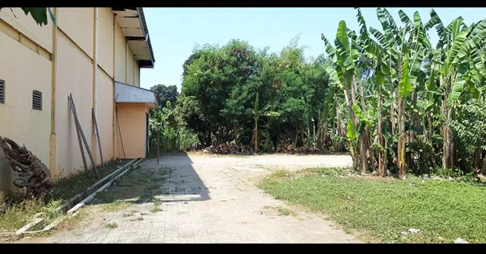 Tanah pinggir jln raya jagakarsa jaksel -+1 hektar 6,5jt/m