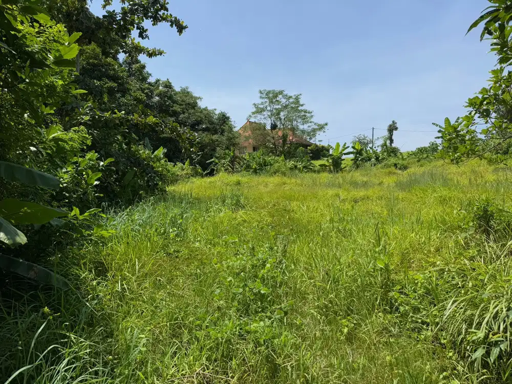 For Sale Small Plot of Land in Nyanyi