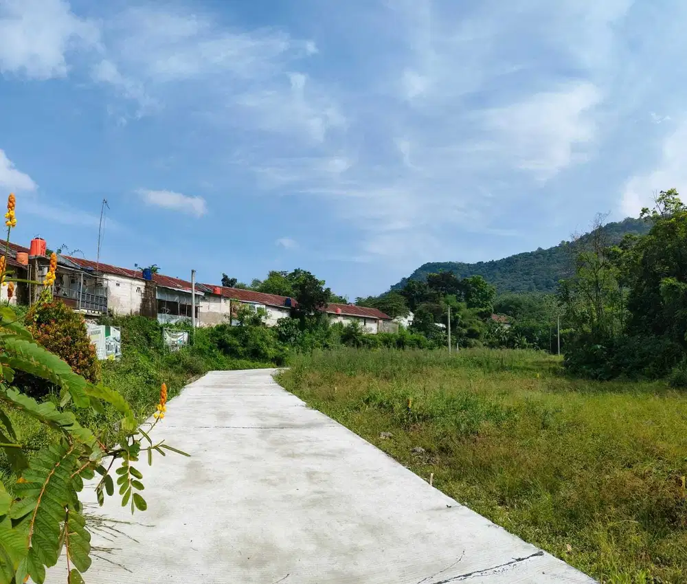 Tanah Syariah Murah Dekat IPB, Cuma 300 Meter Dari Jalan Provinsi