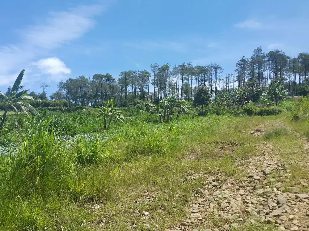 Dijual Segera Tanah Lokasi Strategis Area Lembang Asri Bandung Utara