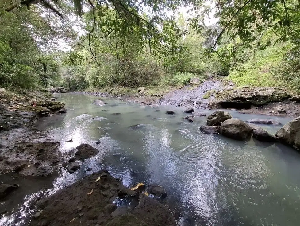 Dijual tanah kebun los sungai jernih berbatu kontur 90% sangat datar
