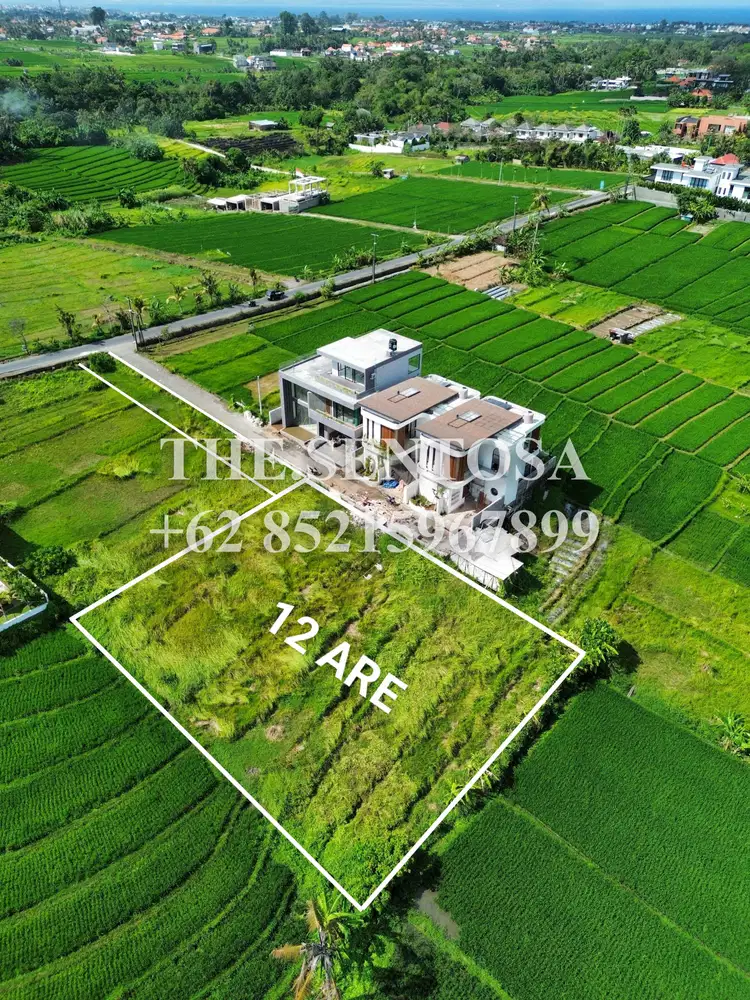 Tanah Nyanyi Nuanu Luna Beach Club