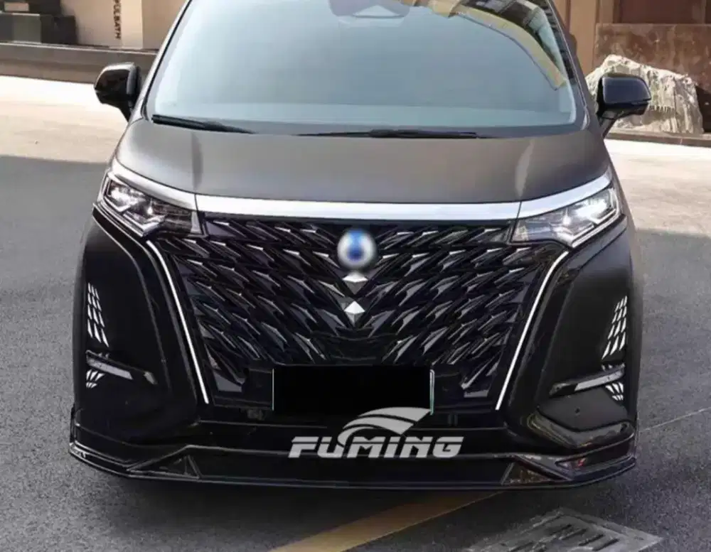 Denza D9 Diamond Grill & DRL