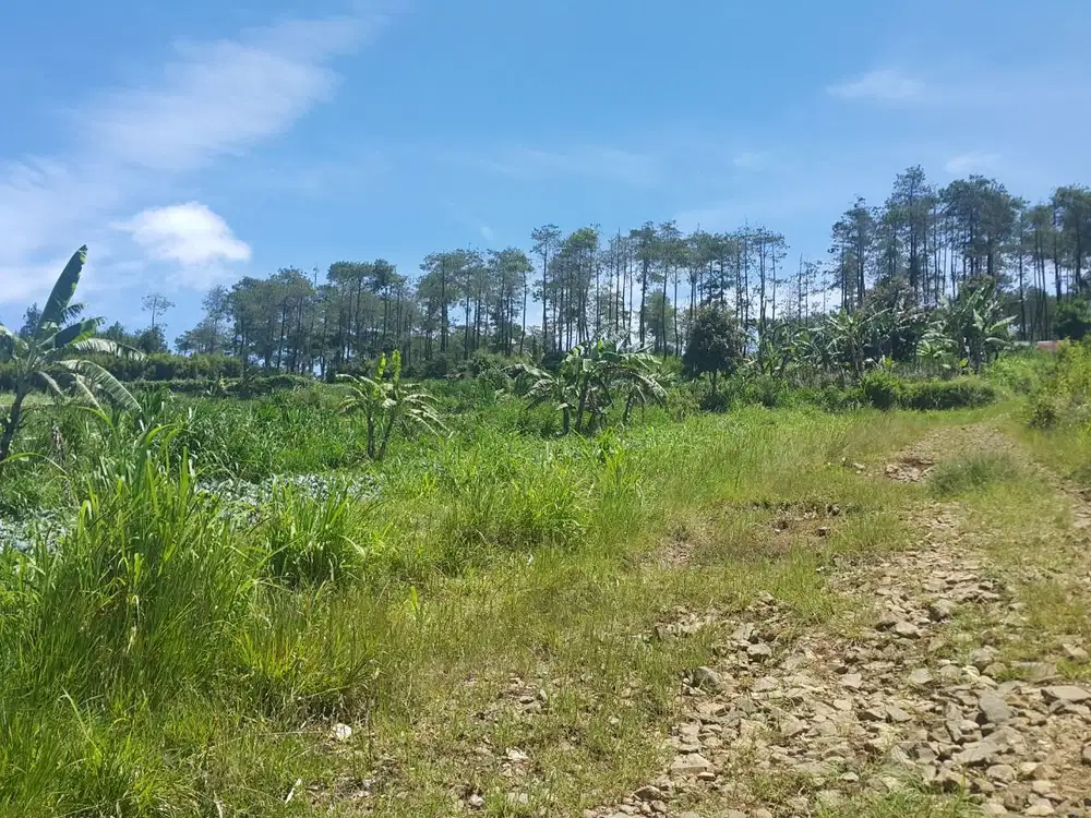Dijual Tanah Siap Bangun Area Lembang Asri Lembang Bandung Utara