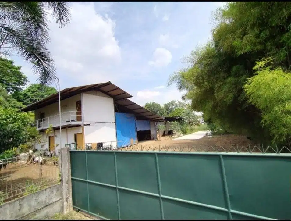 tanah di Gunung SINDUR luas 2420m SHM, Bogor Jawa Barat