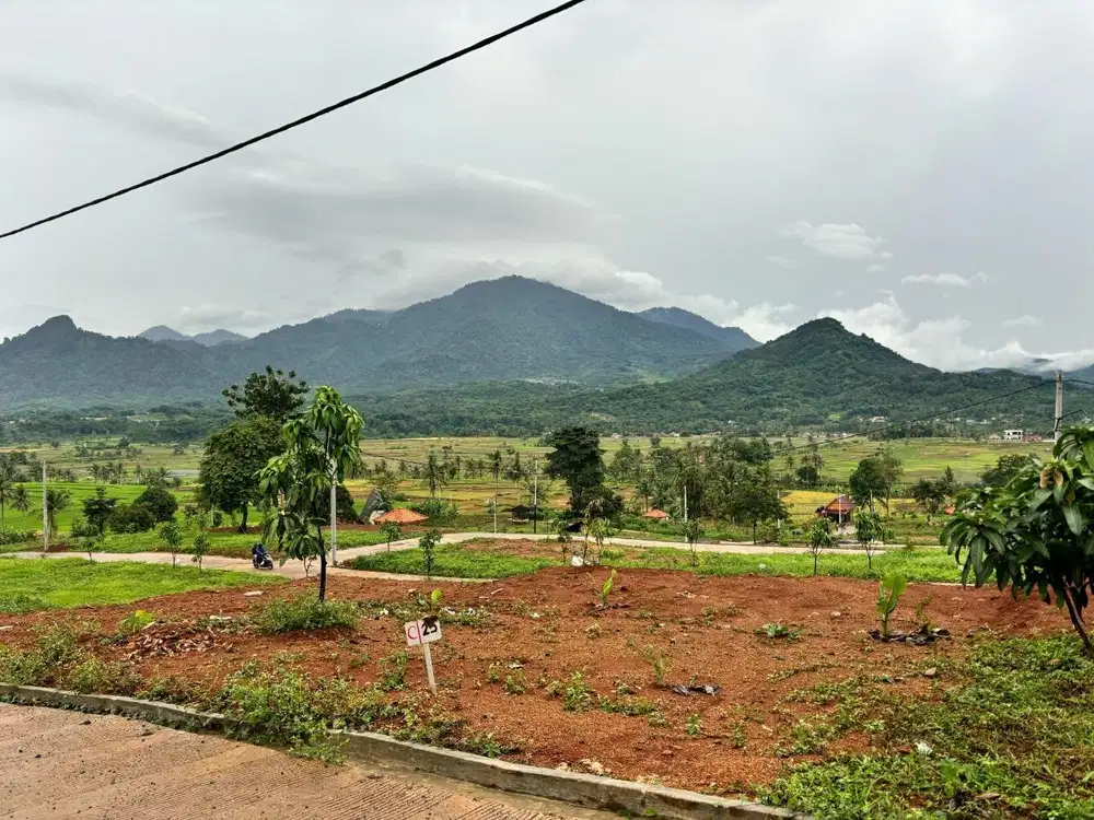 Dijual Tanah Kavling Dekat Jakarta Bekasi Depok View Indah Di Jonggol