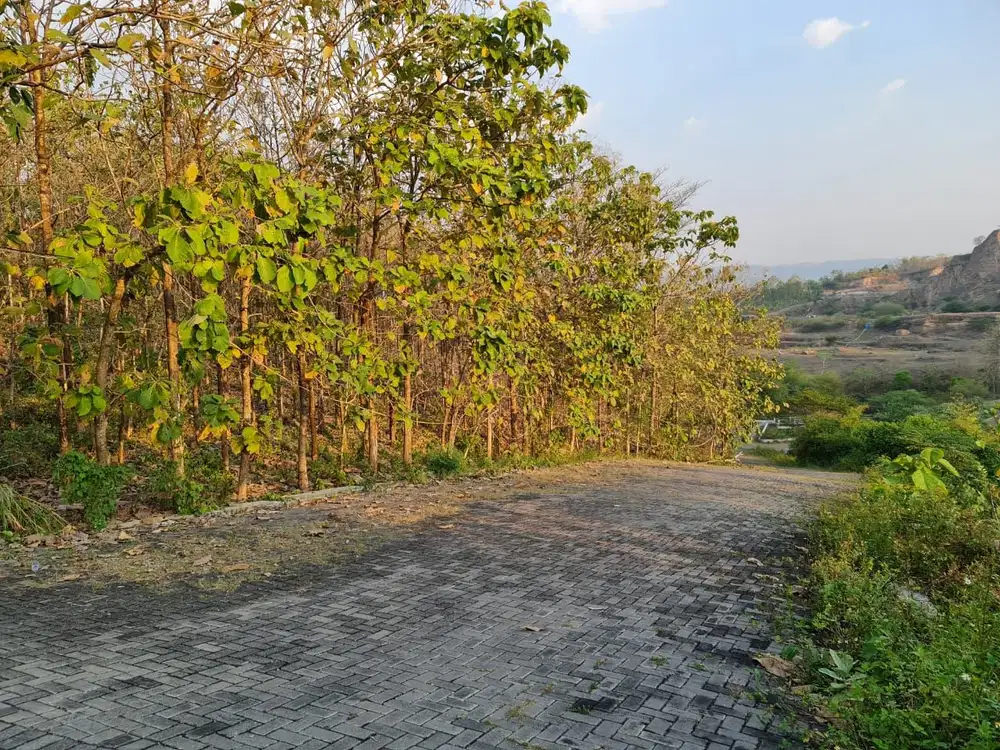 Tanah Siap Bangun Di Jl. Tembalang, Semarang