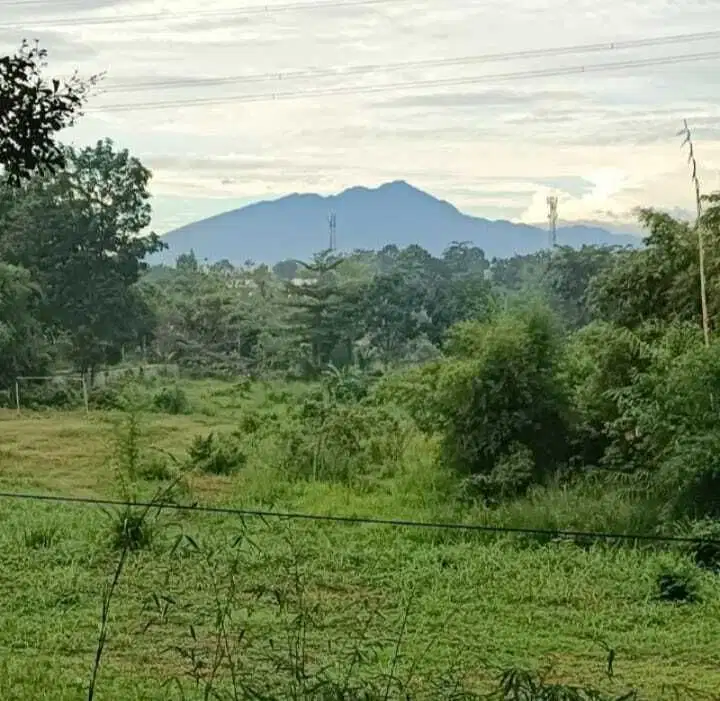 Tanah Cocok Untuk Bangun Perumahan di Jl Raya Arco, Tajurhalang, Bogor