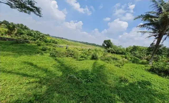 Dijual Tanah di Jl. Raya Dago, Kebasiran, Kec. Parung Panjang, Kab. B