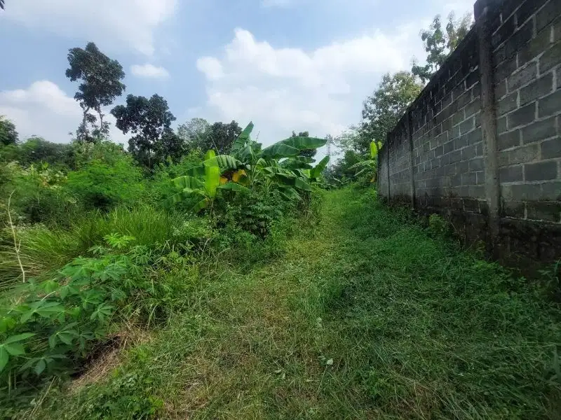 Tanah Luas Status Kering di Pucangan Kartasura  Dekat Jalan Raya