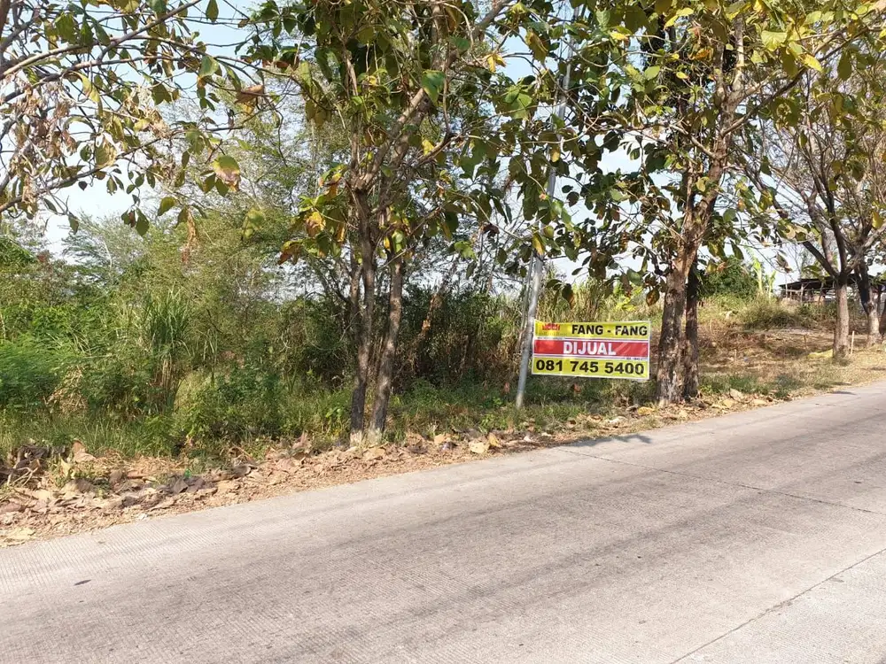 Tanah Siap Bangun Di Gunung Pati Semarang