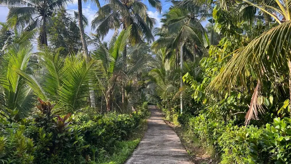 Di Jual Tanah Kebun Dengan Pemandangan Asri