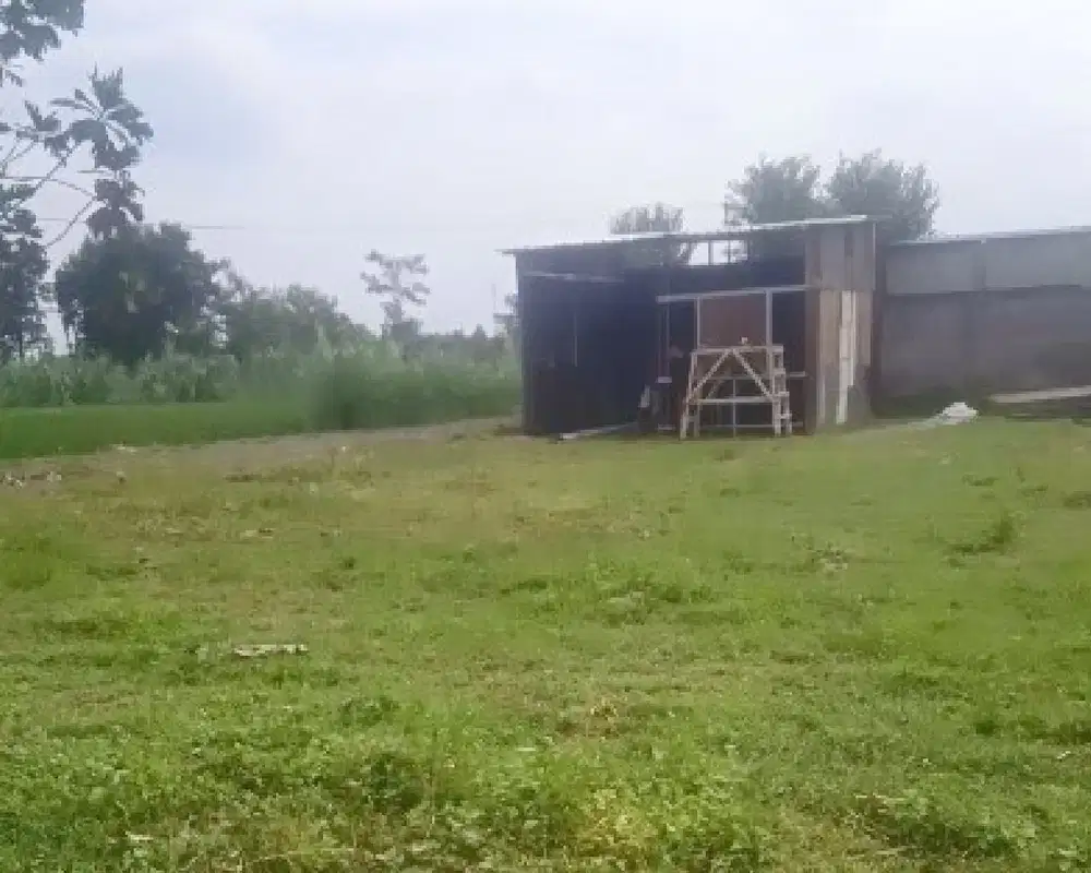 Jual Tanah Dekat Hotel HYATT, Harga Murah & SHM