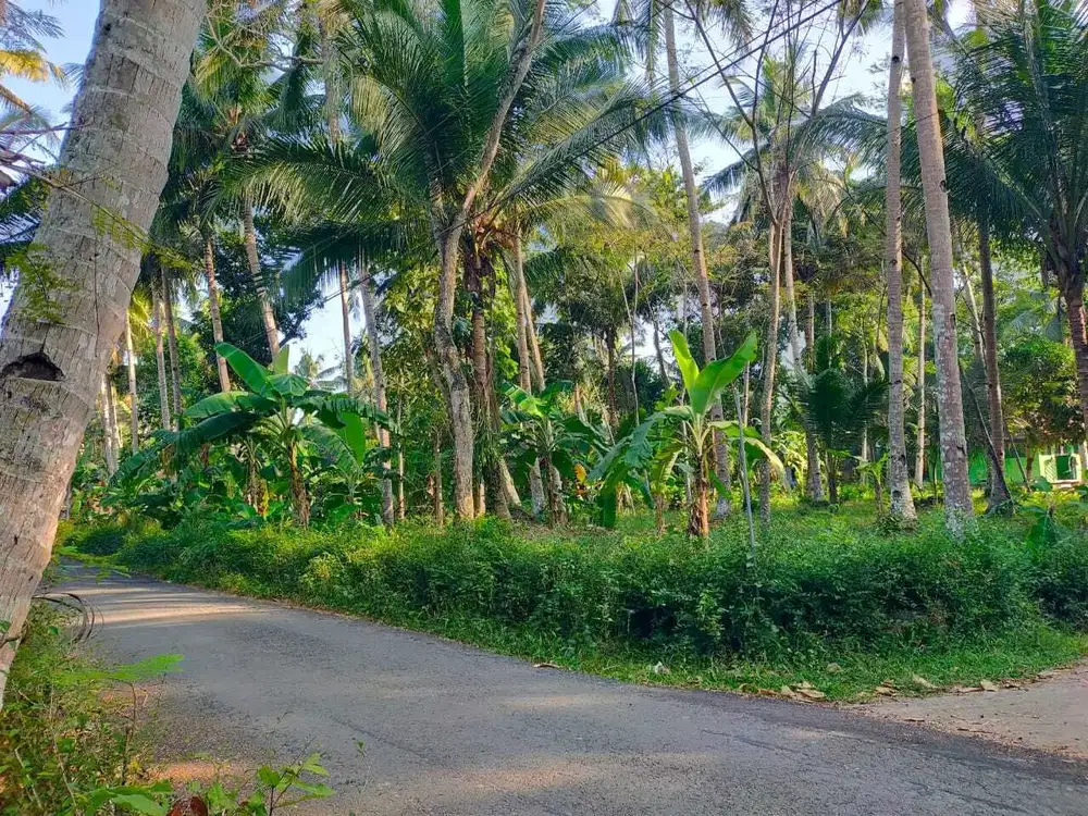 TANAH STRATEGIS DI DEKET JL NASIONAL &amp; BANDARA NYIA KULONPROGO YOGYA