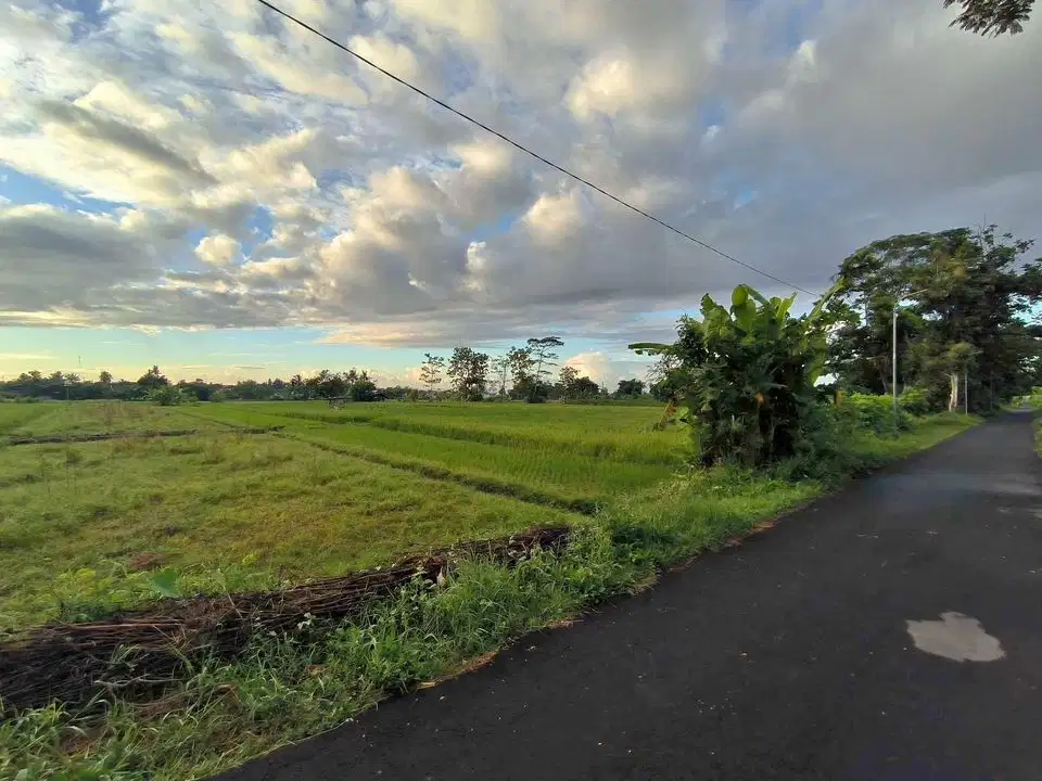 TANAH SAWAH BUAT INVESTASI MURAH DIDAERAH SAYEGAN SLEMAN YOGYAKARTA