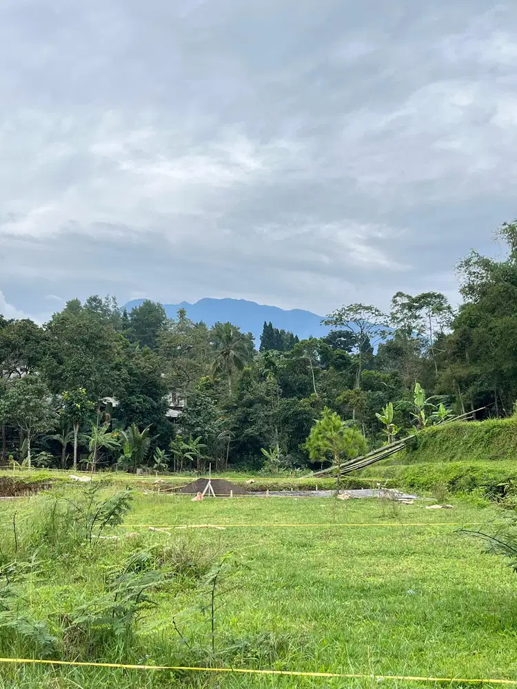 Tanah Luas 366m2 di puncak megamendung dekat ke exit tol