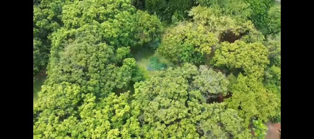 Jual Tanah Di Rancaiyuh, Legok - Tangerang, Banten.