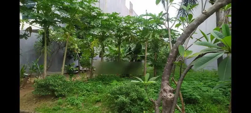 Dijual Kavling di Katamaran Permai Pantai Indah Kapuk