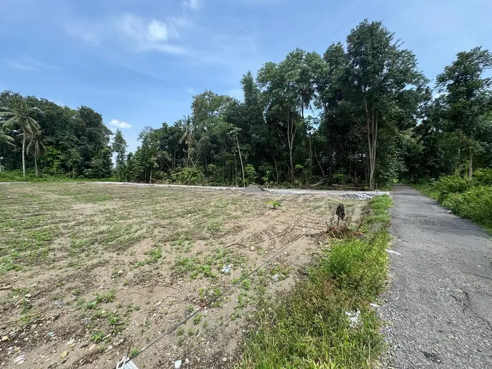 Tanah Belakang Kampus UII Jogja, Lingkungan Kos Premium