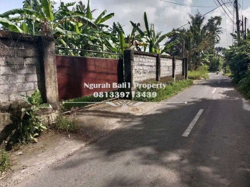 Tanah Murah Disewakan Luas 700 m2 Kawasan Villa di Ubud