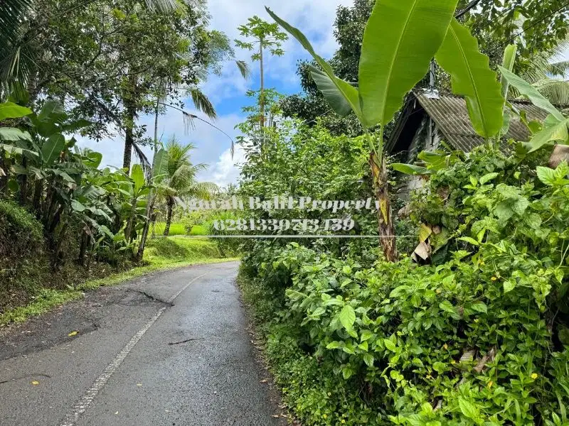 Land For Sale Murah Luas 1700 m2 View Jungle dan Sawah di Ubud Bali