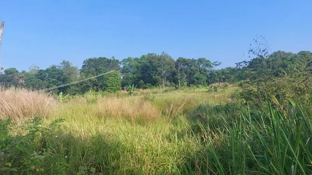 Kapling di Jonggol, Cikalong, Cirebon