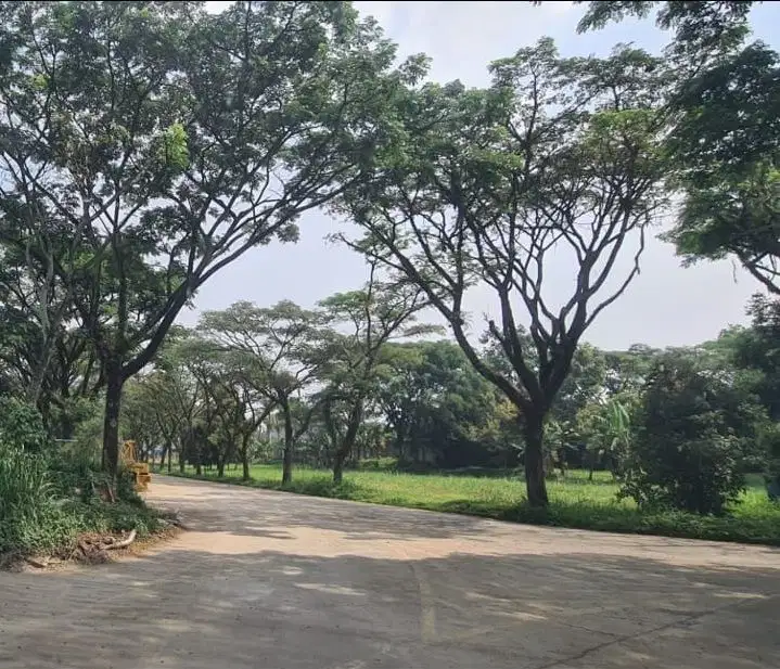 Disewakan Gudang Bagus Jarang Ada Area Cimahi Bandung Barat