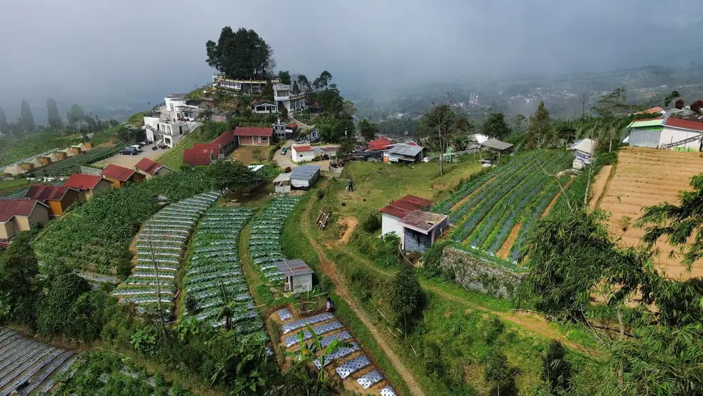 Mangli Dekat Silancur Highland Mangli Magelang