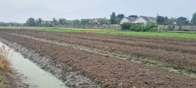 Kavling utk Perumahan terbaru