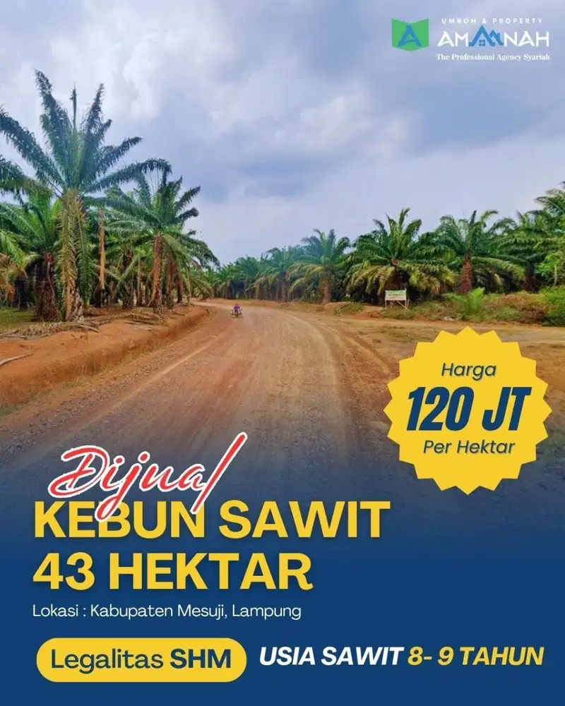 KEBUN SAWIT PENGHASIL CUAN DIJUAL CEPAT DI MESUJI