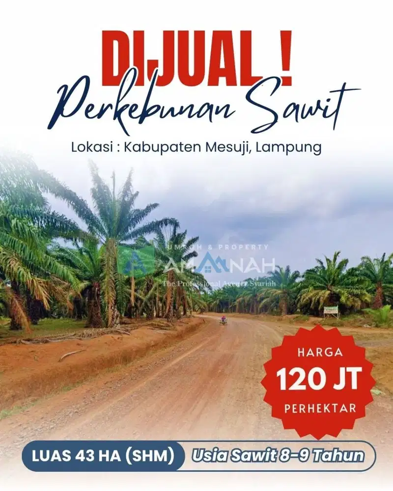 TANAH KEBUN SAWIT MENGHASILKAN DIJUAL CEPAT