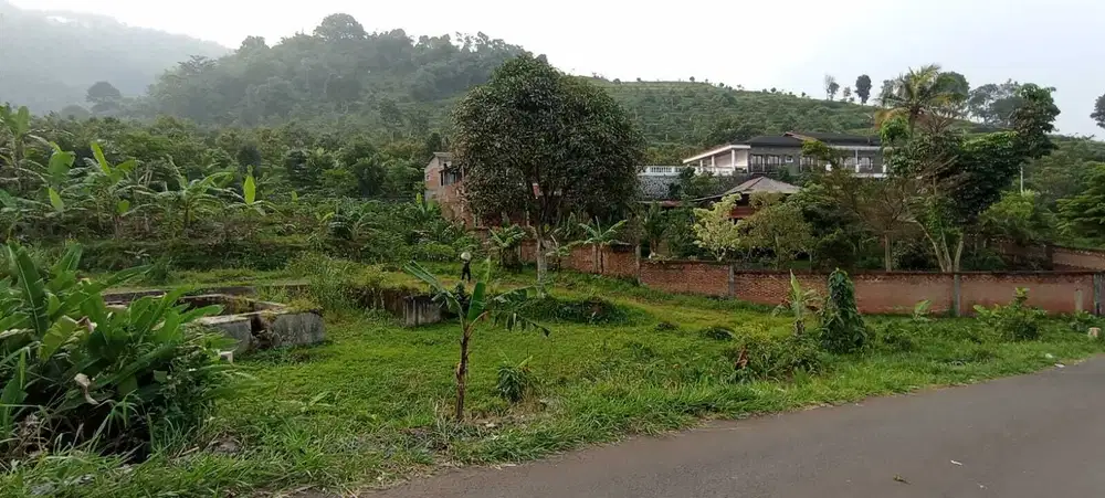 Tanah Murah 100 Jt-an 100 Meter Free SHM Dekat Bukit Alesano