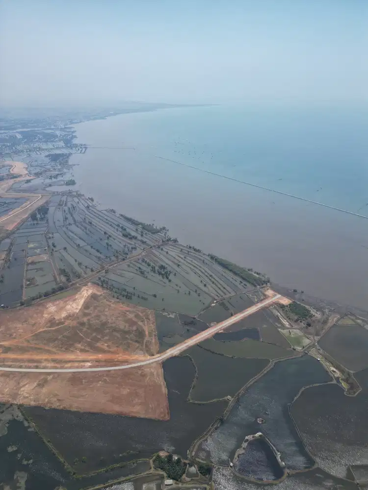 For Sale LONG ISLAND PIK2