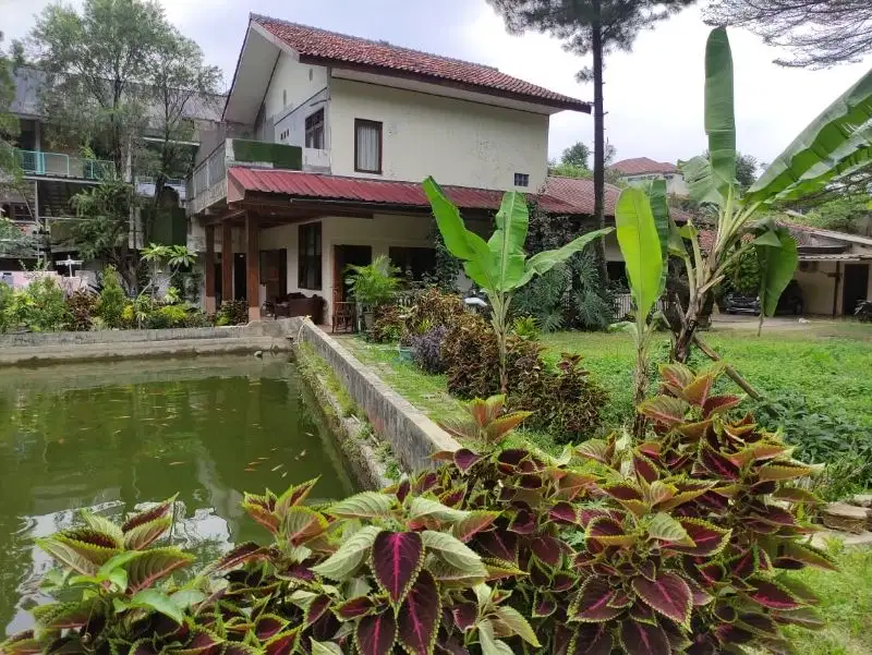 Dijual Rumah Dengan Halaman Luas Di Kota Bogor