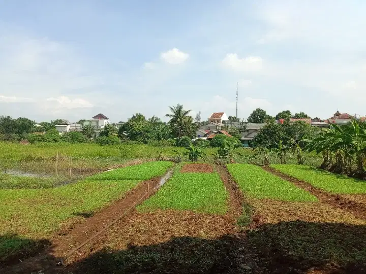 Kavling 1 Jt-an/m2 Cicil 12x Bunga 0% Dekat Stasiun Cilebut