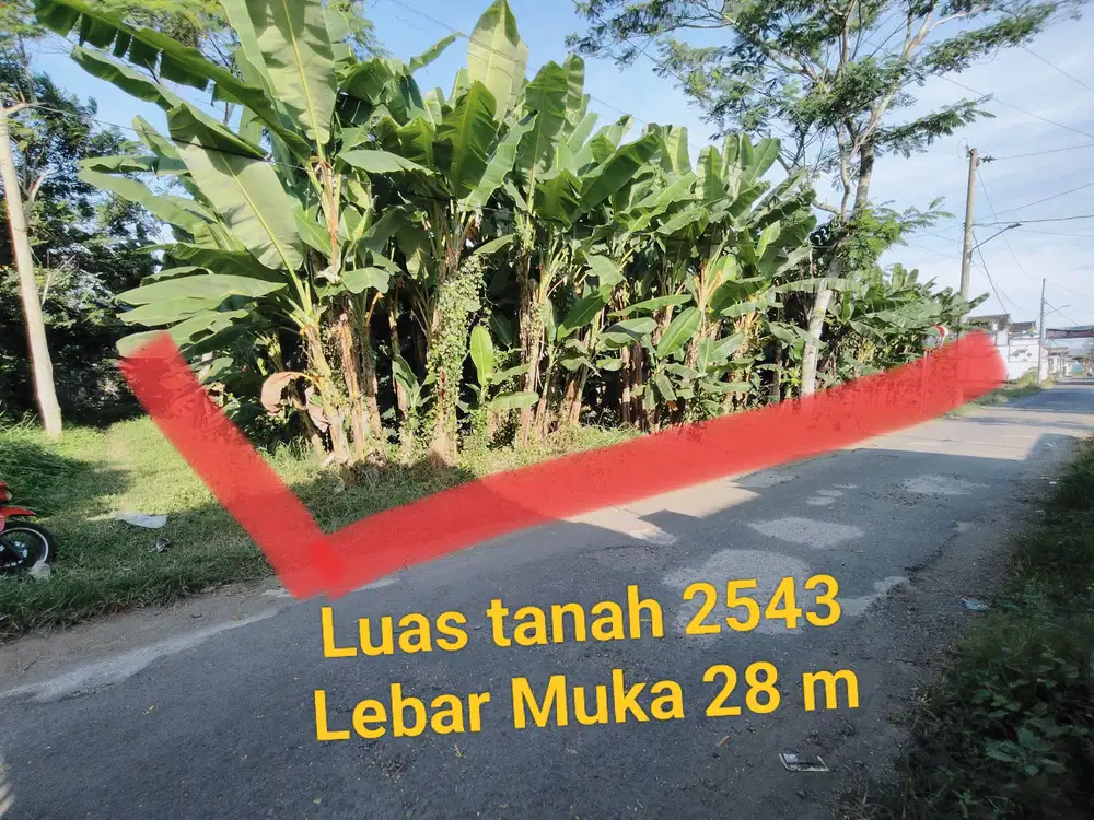 Dijual dibawah pasaran BU tanah kosong Berkoh dekat RS Margono Purwoke