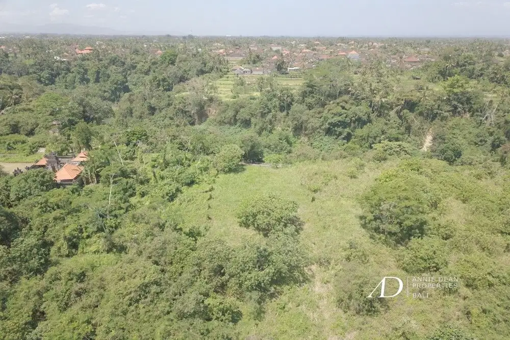 FREEHOLD LAND IN TEGENUNGAN SUKAWATI OF UBUD 28,75 ARE