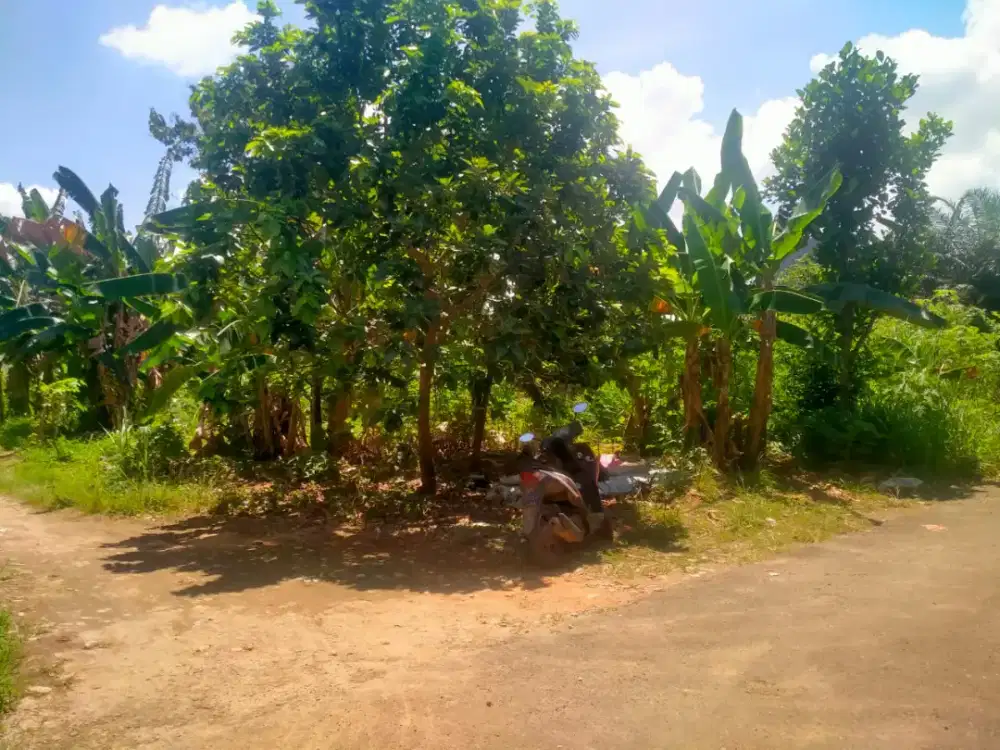 Tanah Murah Buat Kosan Dekat Kampus Unila