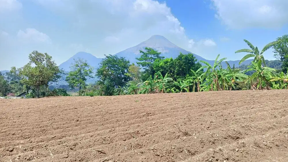 TANAH VIEW SANGAT ISTIMEWA