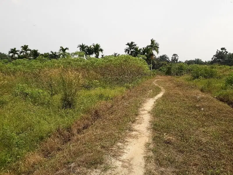 Tanah murah jl Indra Puri Hangtuah kota pekanbaru surat shm