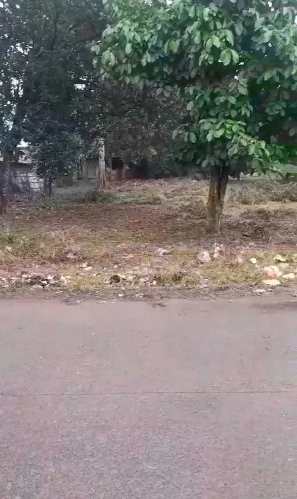 Dijual Cepat Tanah Kavling  Cikupa Murah Siap Bangun