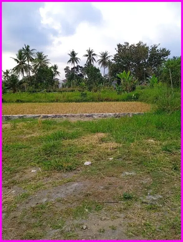 Dekat Kampus UII, Lokasi Super Strategis Cocok untuk Villa dan Kost