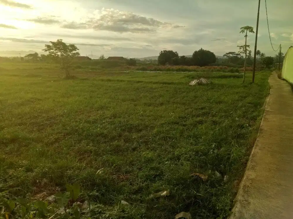 Tanah Gembur 3000 m2 Sekitar Kampus IPB, Bogor