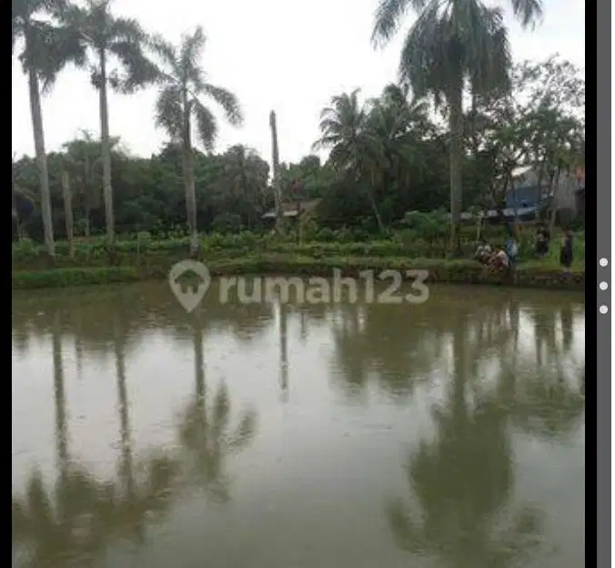 Dijual rumah cocok buat peternakan ikan di parung