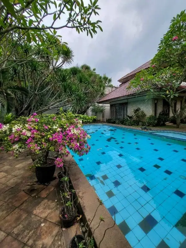 Rumah Mewah Bagus Siap Huni Ada S Pool Di Cilandak Barat