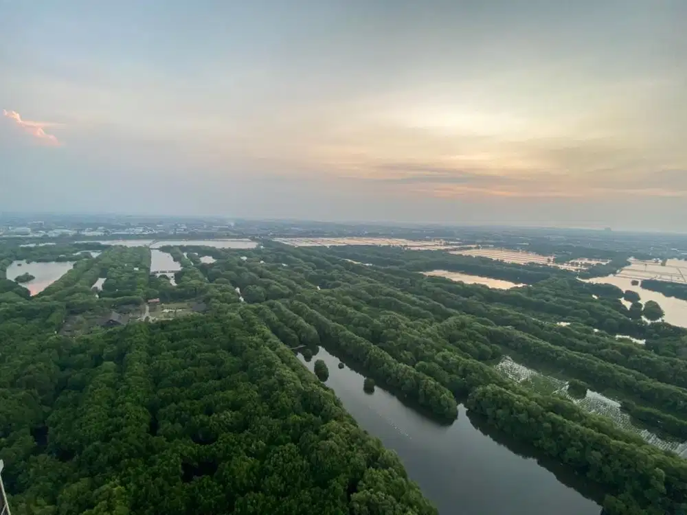 dijual apartemen gold coast pik 1bedroom uk 44m Honolulu view mangrove