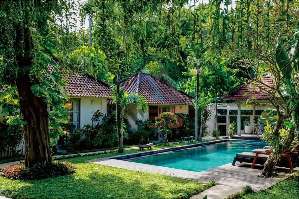FOR SALE VILLA EROPA STYLE WITH BIG GARDEN LIKE UBUD VIBES