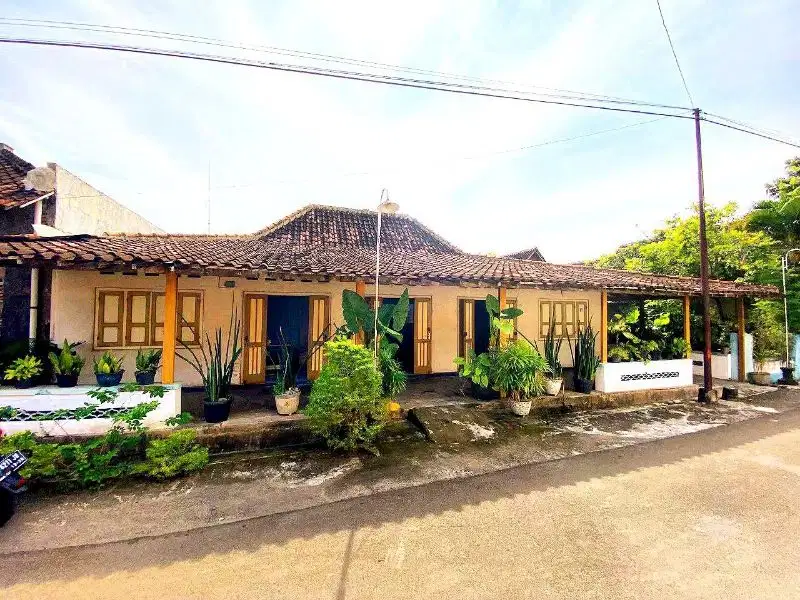 Rumah joglo lahan luas 594 m2 di wirun mojolaban bekonang