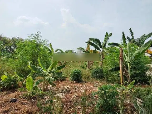 Tanah di Rawa Buntu Cengkareng