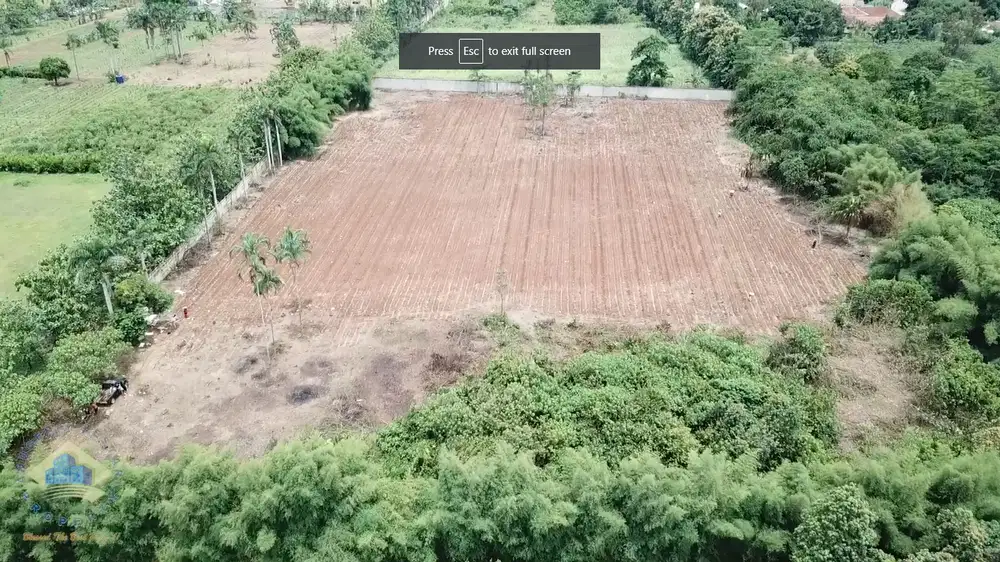 Jual Tanah Murah di Dangdang, Cisauk, Tangerang - Banten.